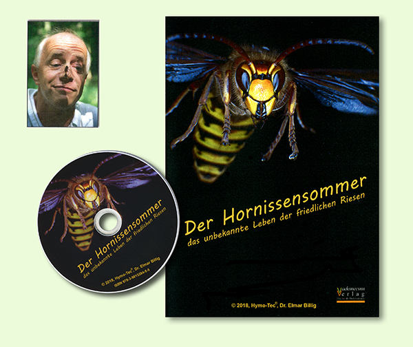 dvd Hornissensommer